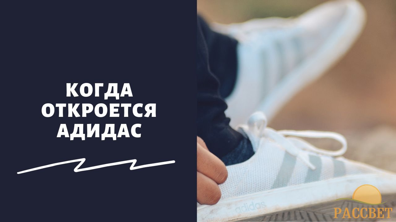 Возвращение Adidas в Россию: открытие магазинов весной 2024 года и снижение выручки на 100 млн евро