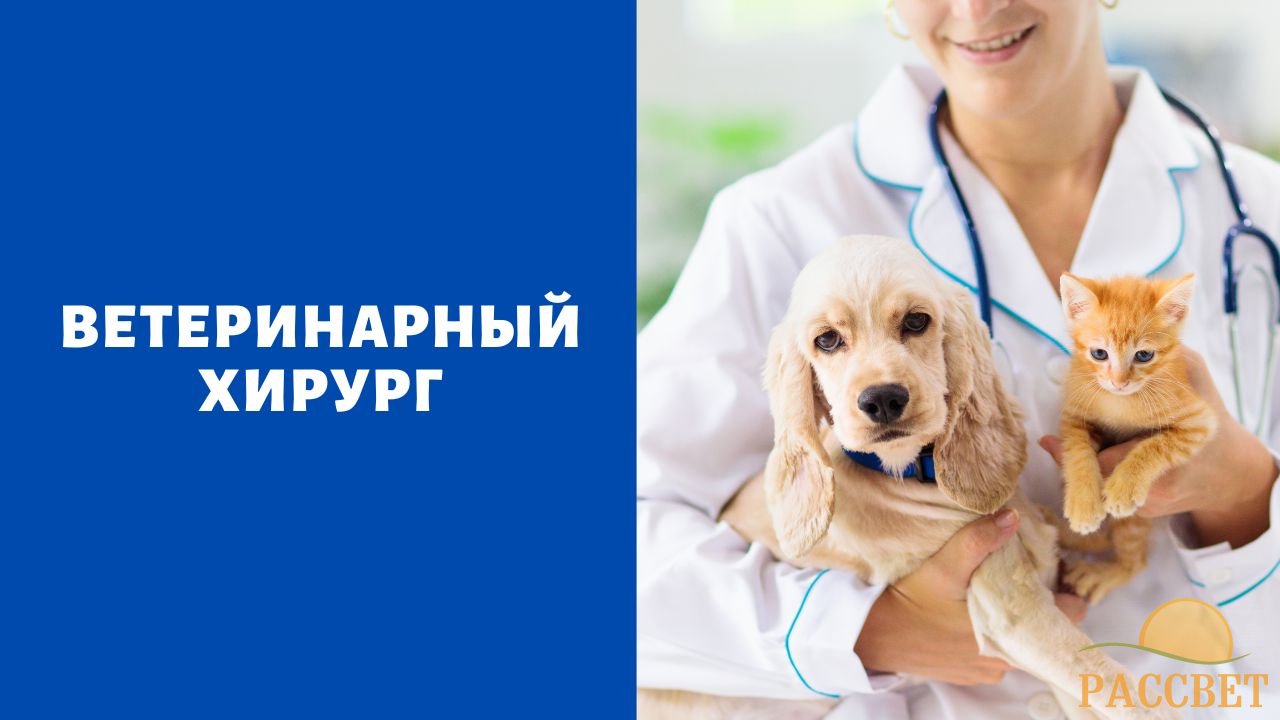 ветеринарный хирург В каких случаях требуется консультация ветеринарного хирурга